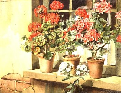 Gerânios de Edwin Byatt
