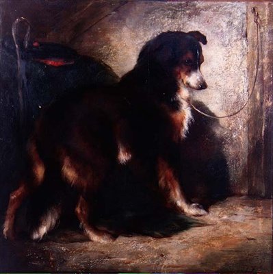 O Collie do Pastor de Edwin Douglas