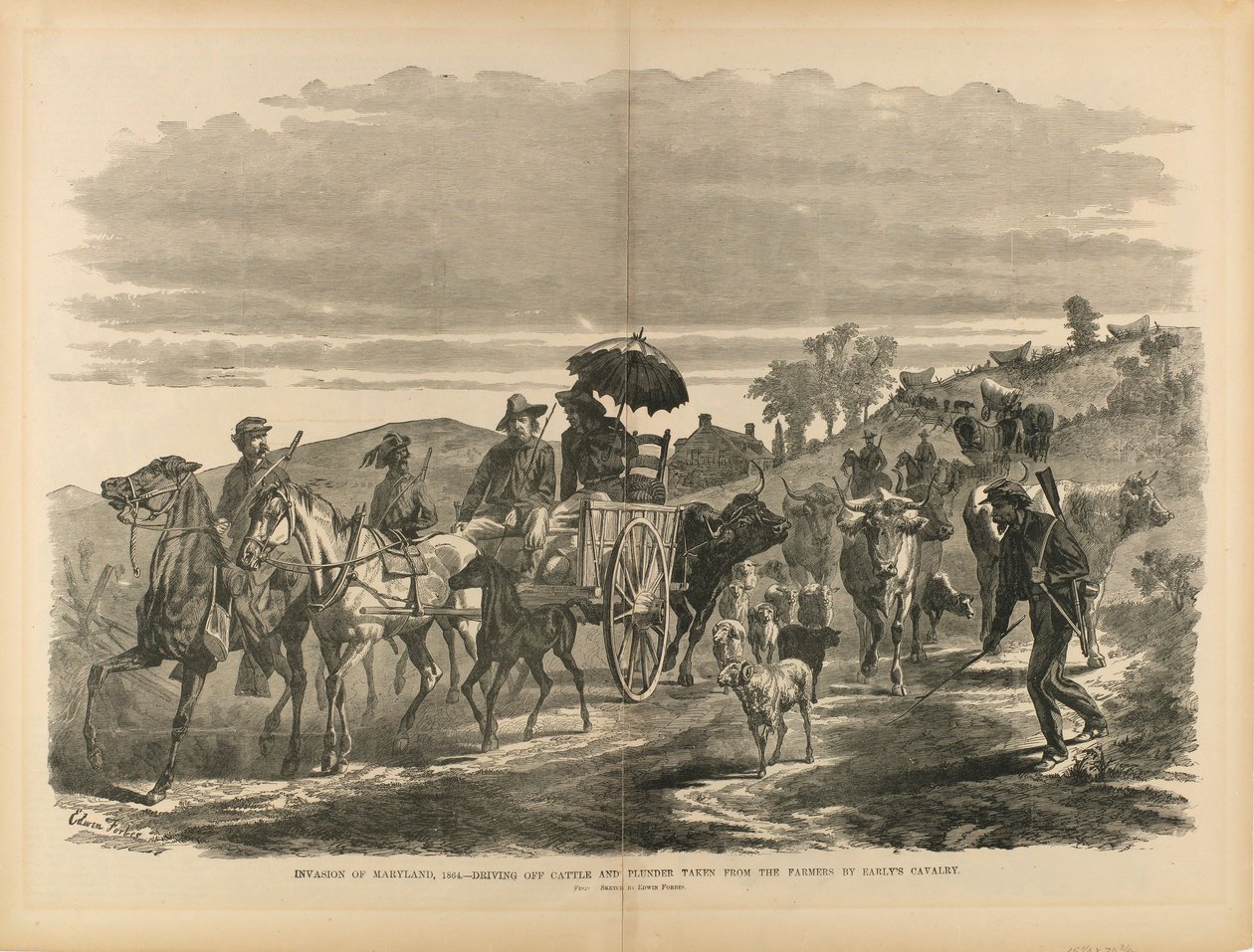 Invasão de Maryland, 1864 - Expulsão de gado e pilhagem roubados aos agricultores pela cavalaria de Early, de "The Soldier in Our Civil War" de Edwin Forbes