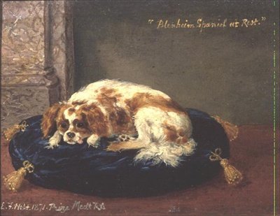 Blenheim Spaniel em repouso de Edwin Frederick Holt