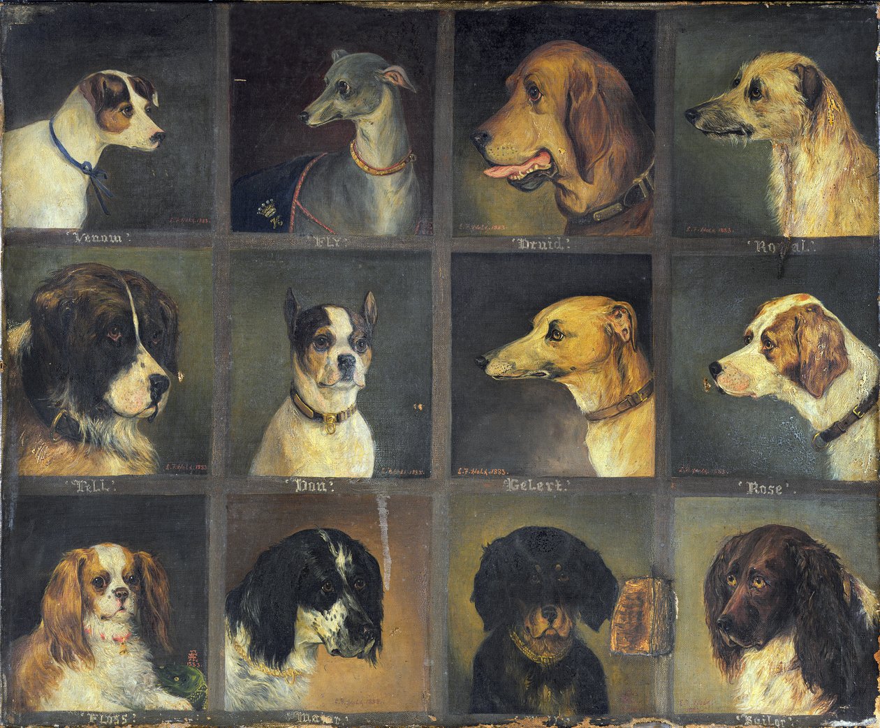 Doze Cães Favoritos, 1883 de Edwin Frederick Holt