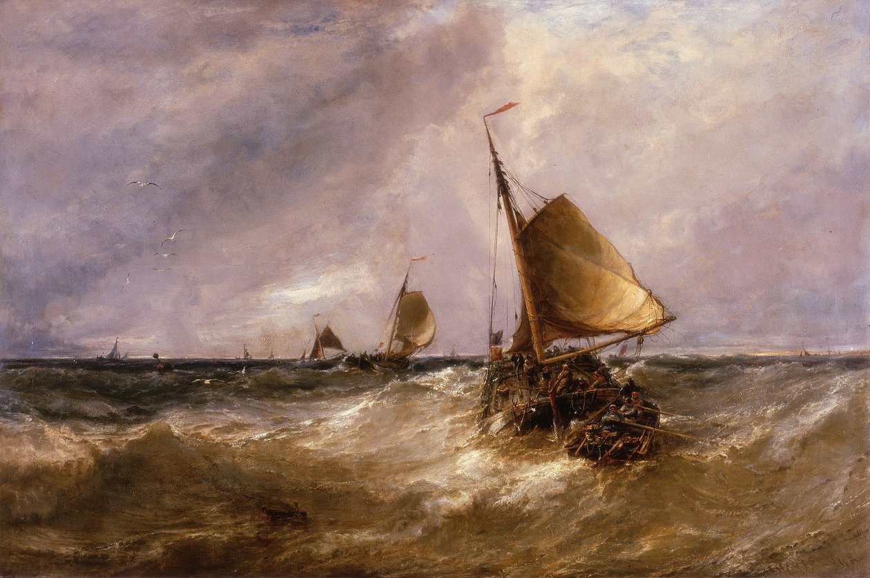 Rosa holandês de Edwin Hayes