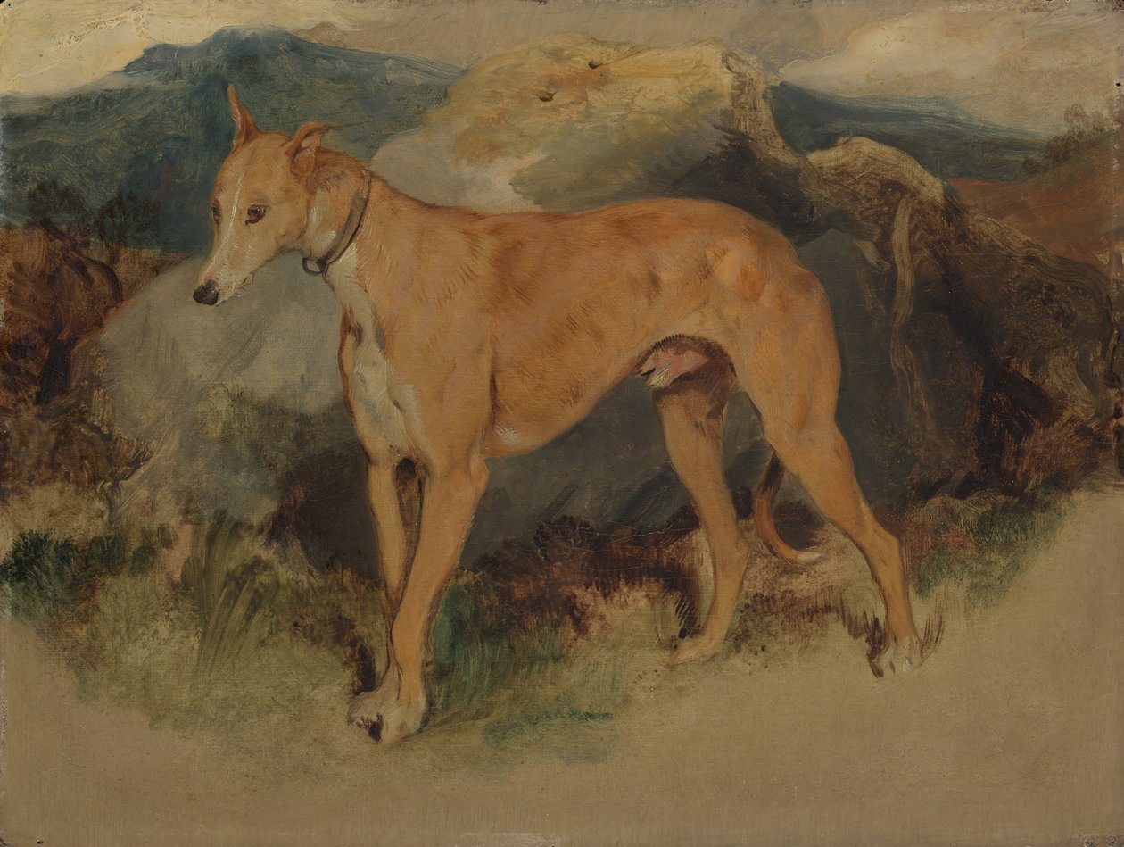 Um Deerhound, 1826. de Edwin Landseer