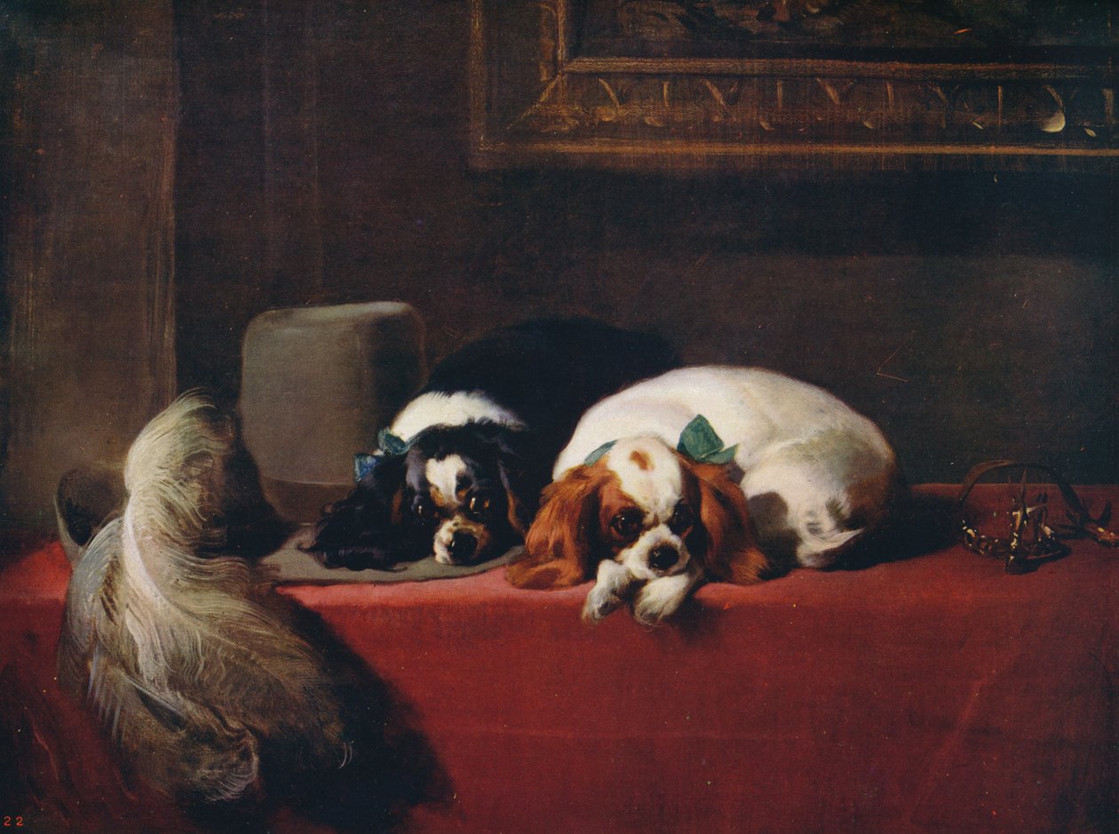 King Charles Spaniels Os Cavaliers Pets, 1845, c1915 de Edwin Landseer