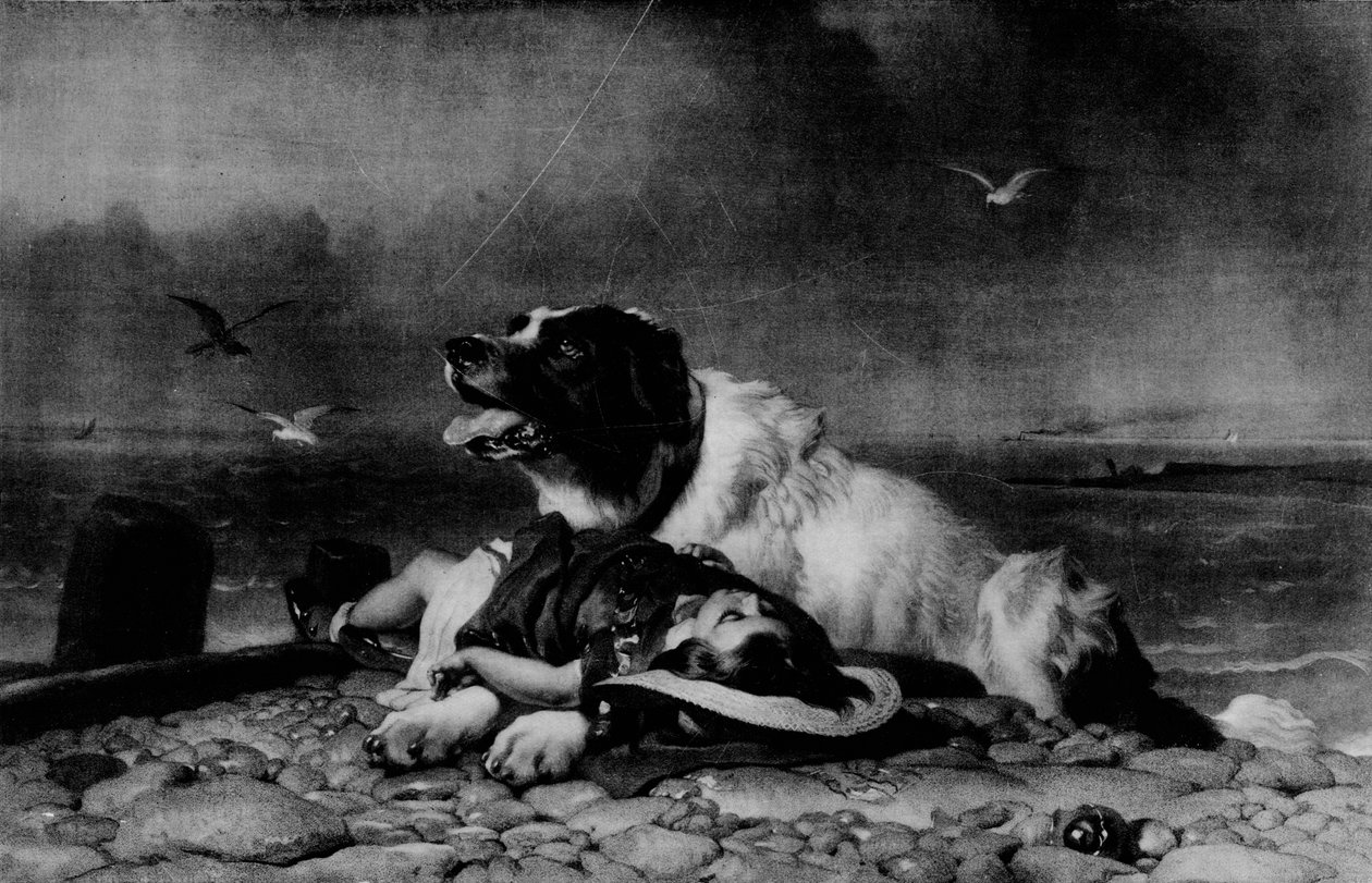 Salvo !, c1856, 1911 de Edwin Landseer