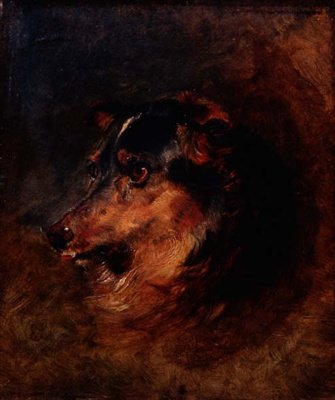 Um Estudo da Cabeça de um Cão Collie de Edwin Landseer
