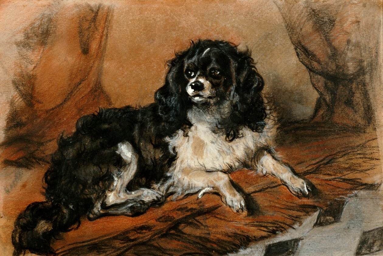 Um rei Charles Spaniel de Edwin Landseer