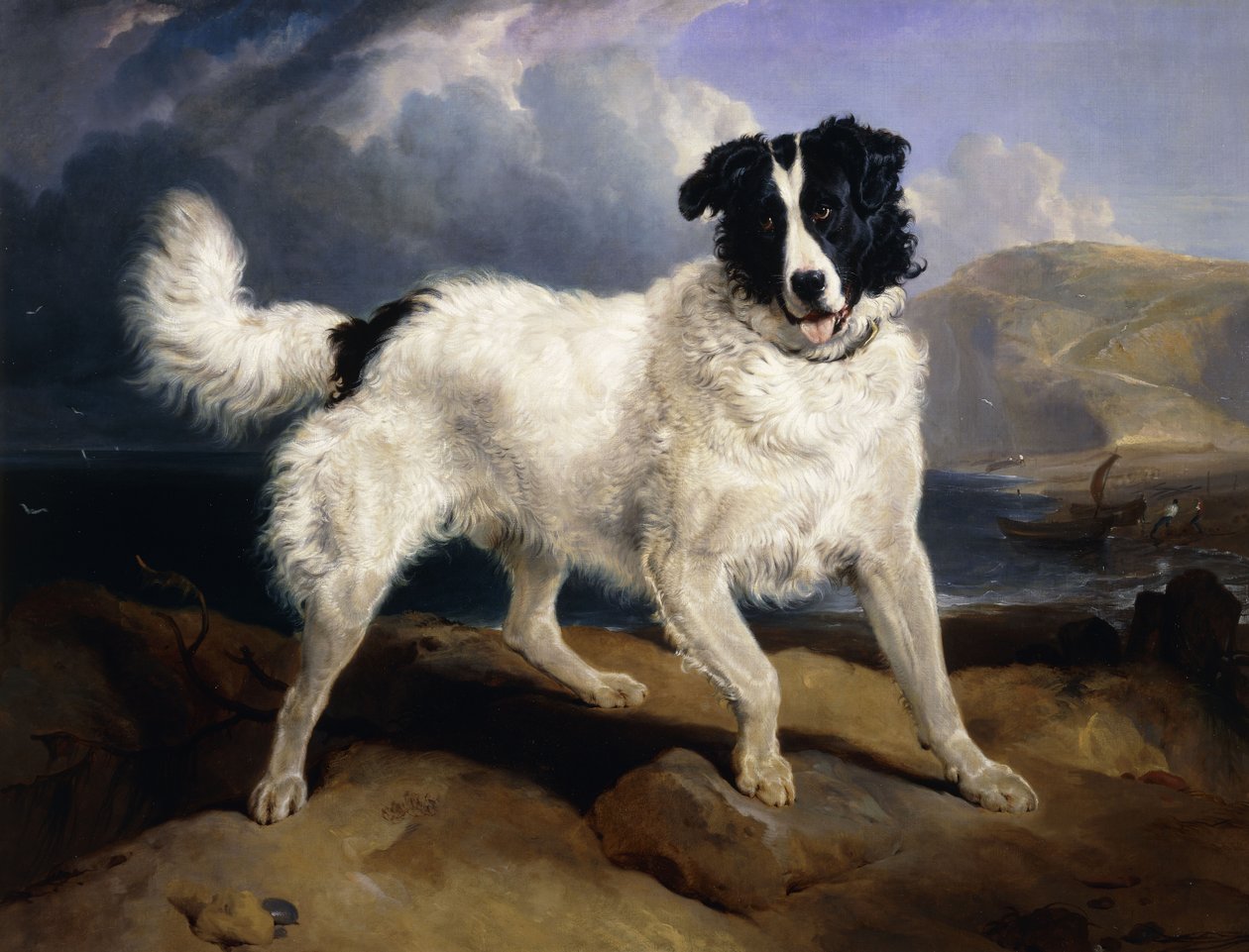 Um retrato de Netuno, 1824 de Edwin Landseer