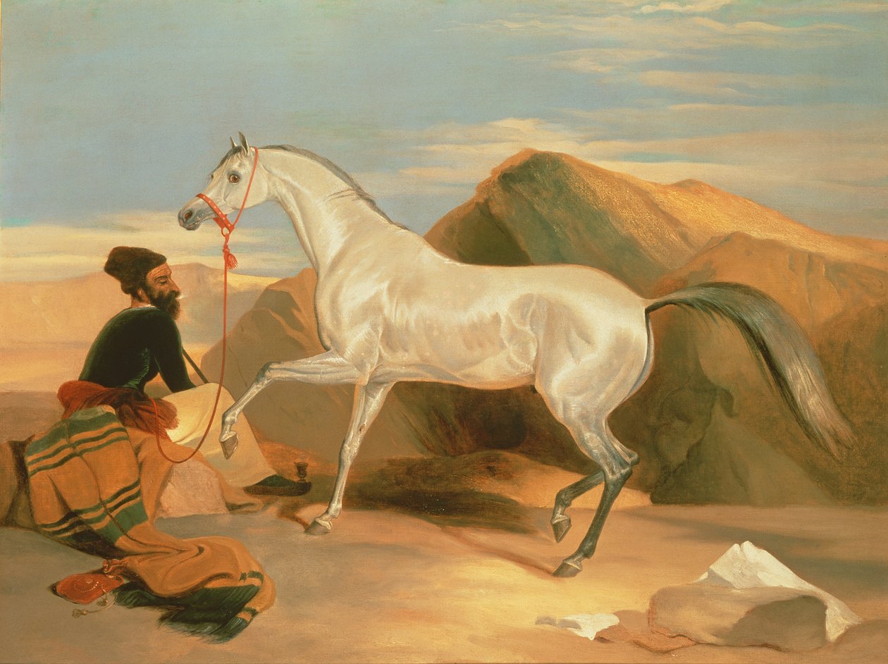 Garanhão Árabe de Edwin Landseer