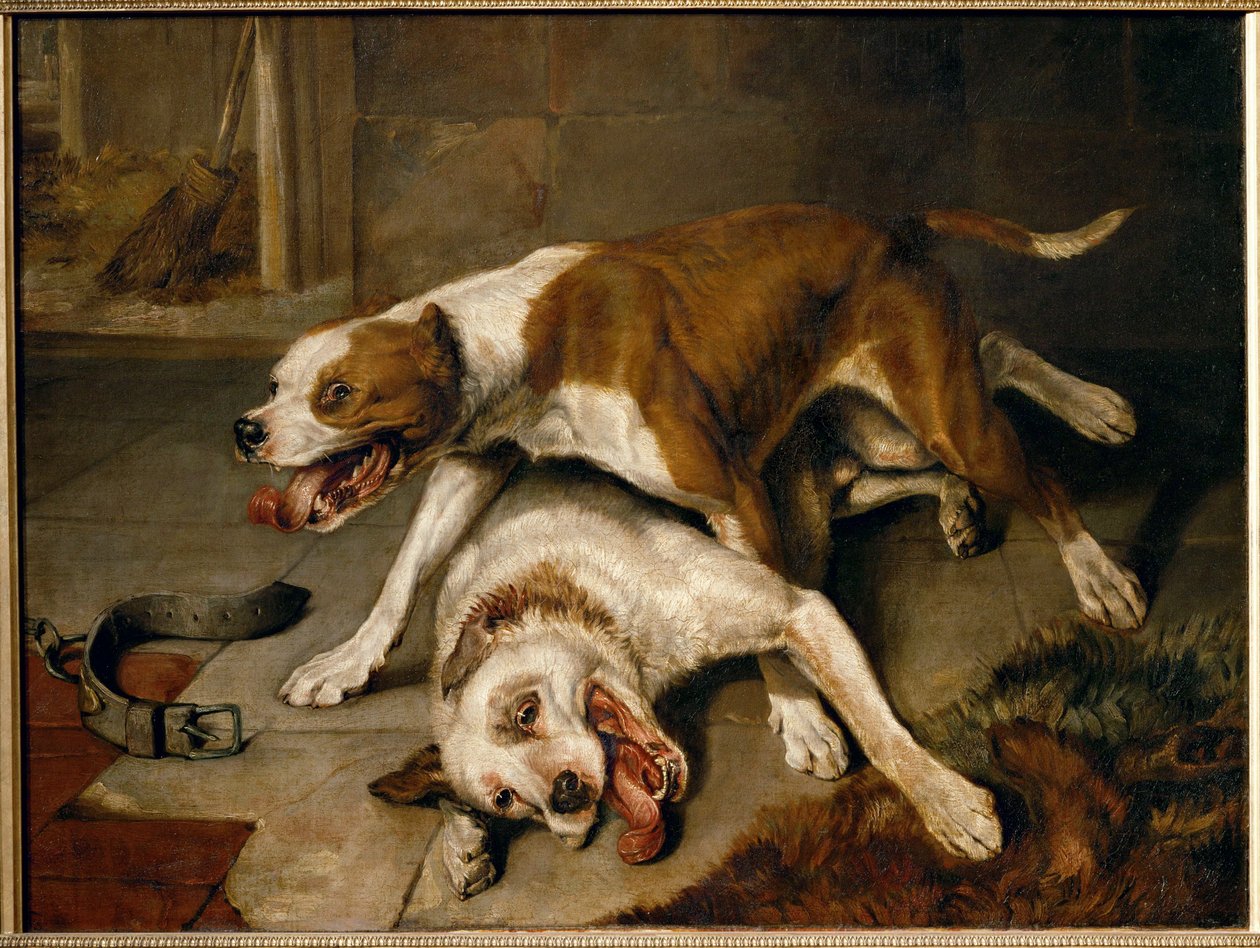 Chiens se battant, reprenant leur souffle - Cães de combate que fazem uma pausa para respirar ... de Edwin Landseer