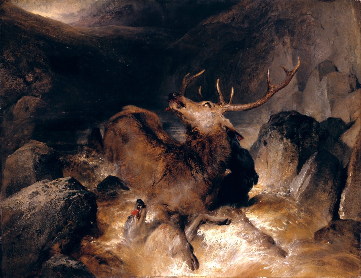 Veados e galgos escoceses numa torrente de montanha de Edwin Landseer