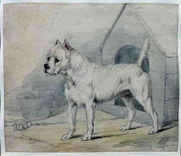 Cão Fora de um Canil (lápis e lavagem) de Edwin Landseer