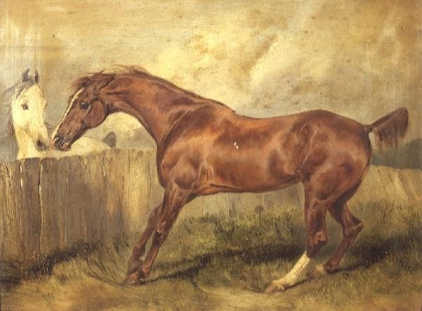 Marianne, uma caçadora favorita de Edwin Landseer