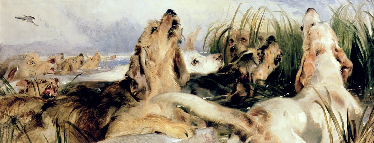 Otter Hounds de Edwin Landseer