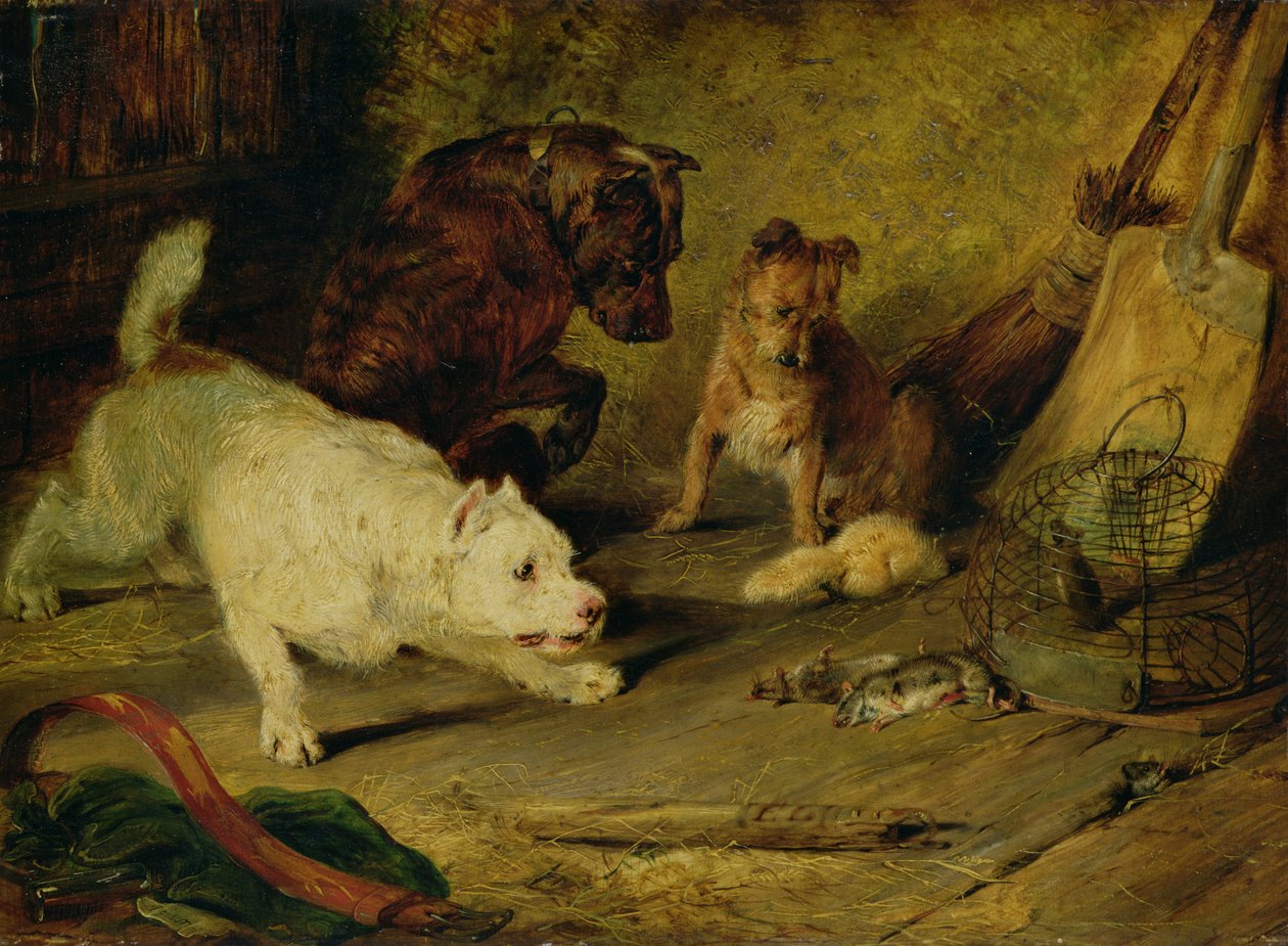 Apanhadores de ratos de Edwin Landseer