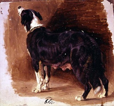 Esboço de um Collie de Edwin Landseer