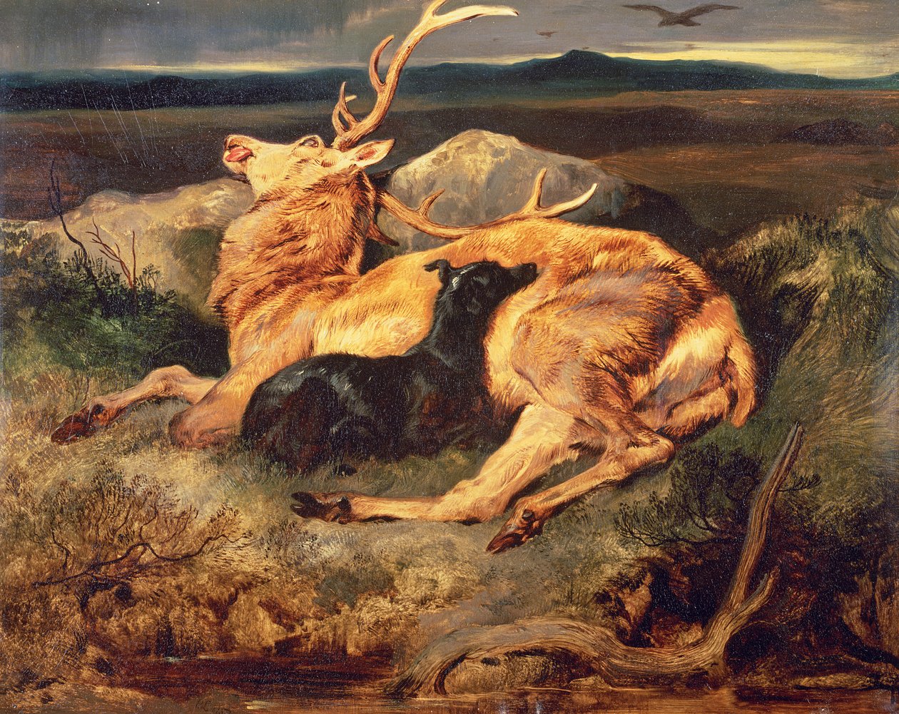 Veado de Edwin Landseer