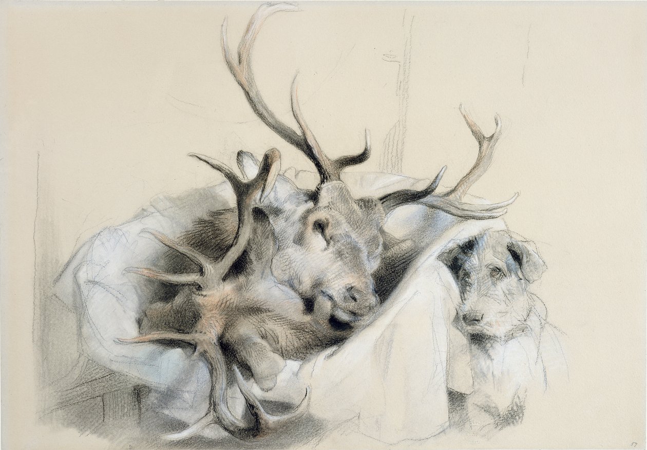 Cabeças e cão dos veados, 1857 de Edwin Landseer