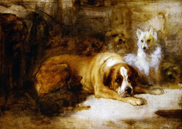Estudo dos Cães (óleo sobre lápis sobre tela) de Edwin Landseer
