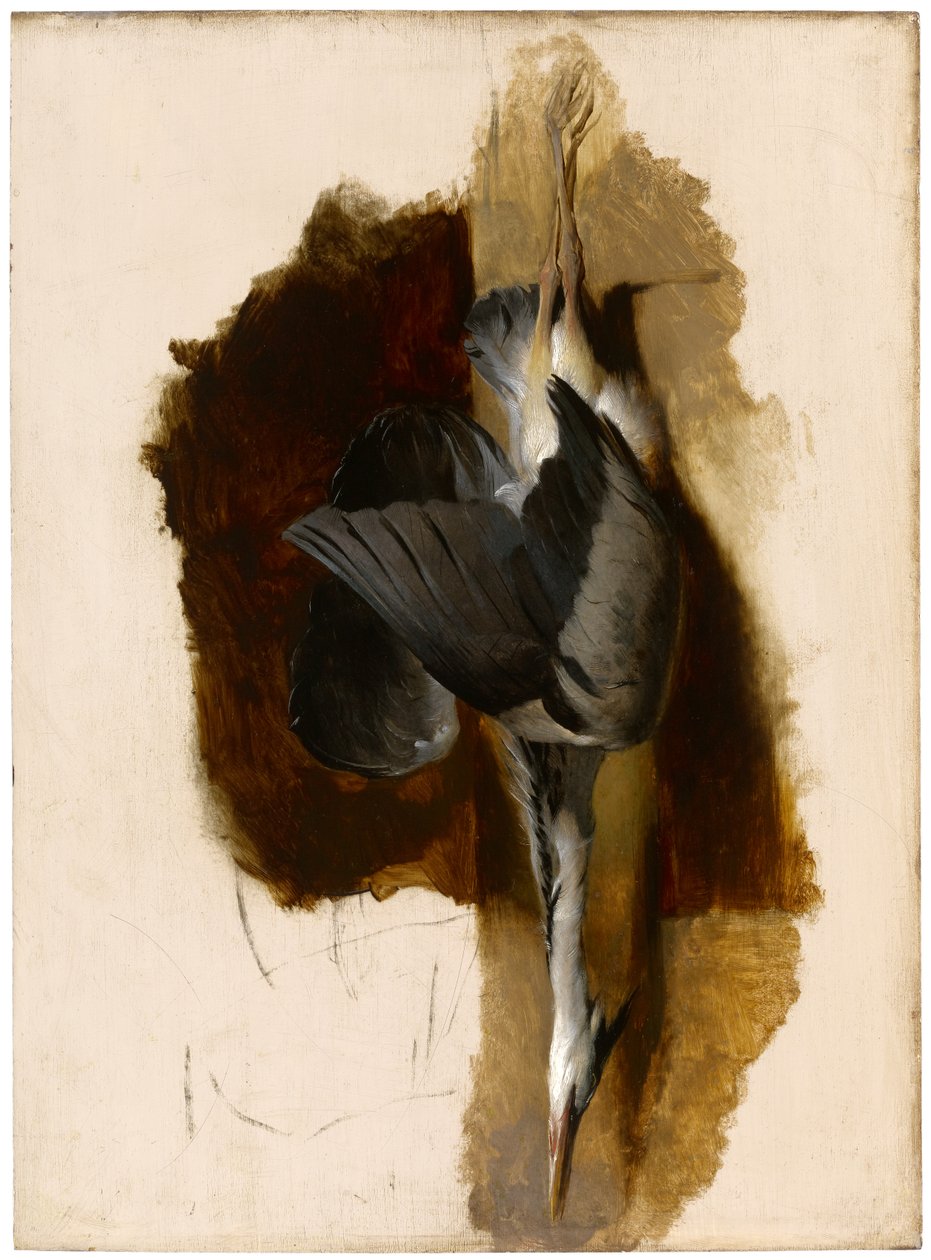 Estudo de uma garça morta, c.1832-33 de Edwin Landseer