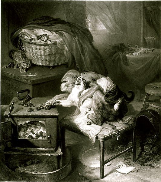 A Pata do Gato (gravura) de Edwin Landseer
