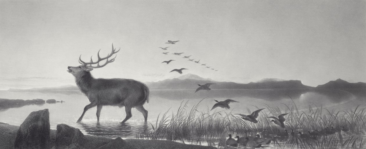 O resgate de Edwin Landseer