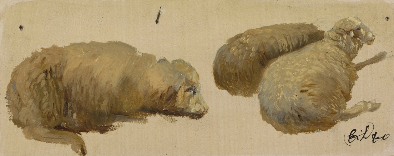 Três ovelhas em repouso (óleo sobre papel) de Edwin Landseer
