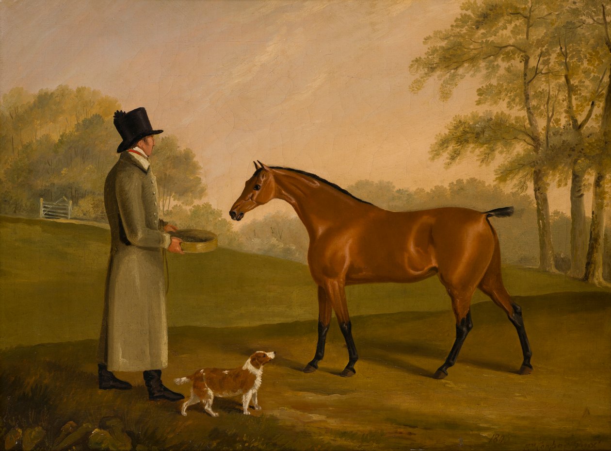 Um cavalo numa paisagem com o noivo, David, Bennet, c.1805 (óleo sobre tela) de Edwin W. Cooper