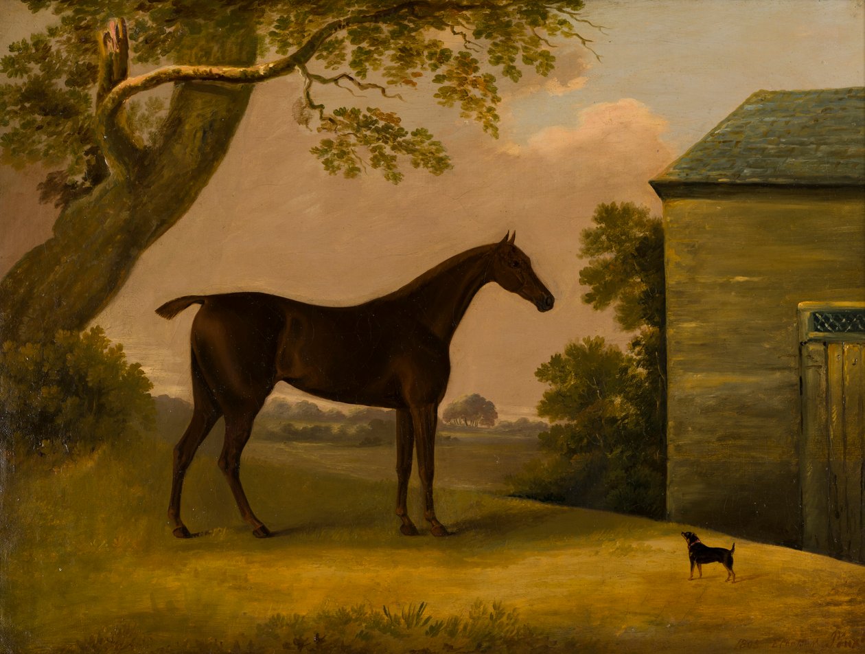 Bay Hunter e um terrário fora de um estábulo, c.1805 (óleo sobre tela) de Edwin W. Cooper