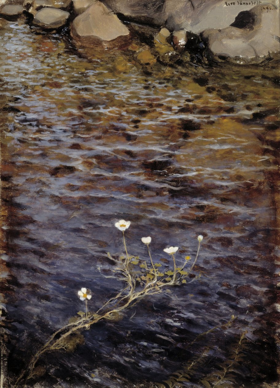 Aranha da água da lagoa de Eero Järnefelt
