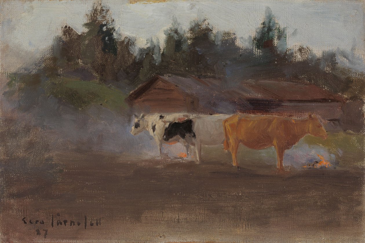 Vacas no fumo de turfa, estudo de Eero Järnefelt