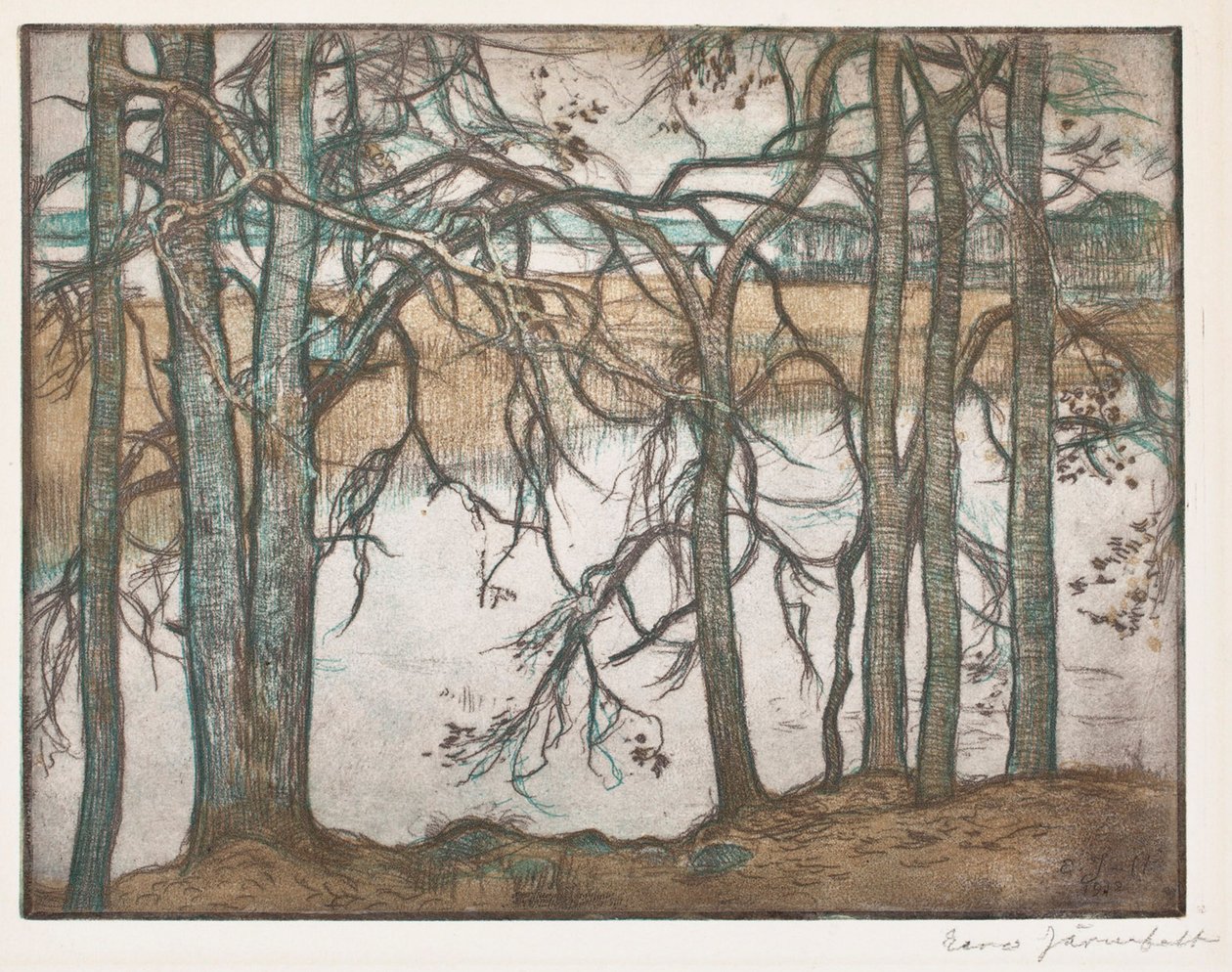 Margem de lago com caniços de Eero Järnefelt