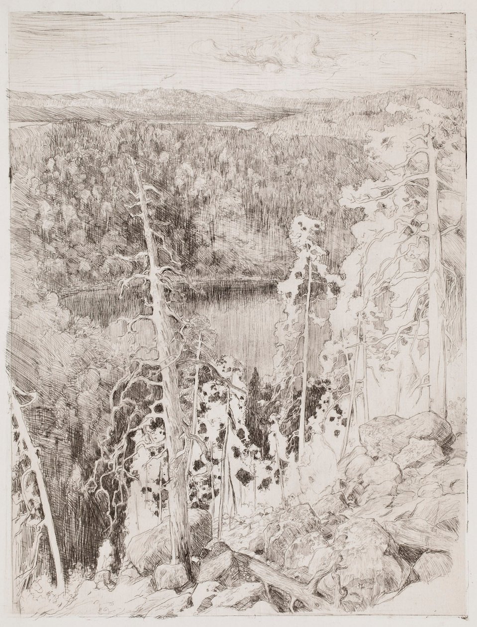 Paisagem de Koli; Paisagem florestal de Räsävaara de Eero Järnefelt