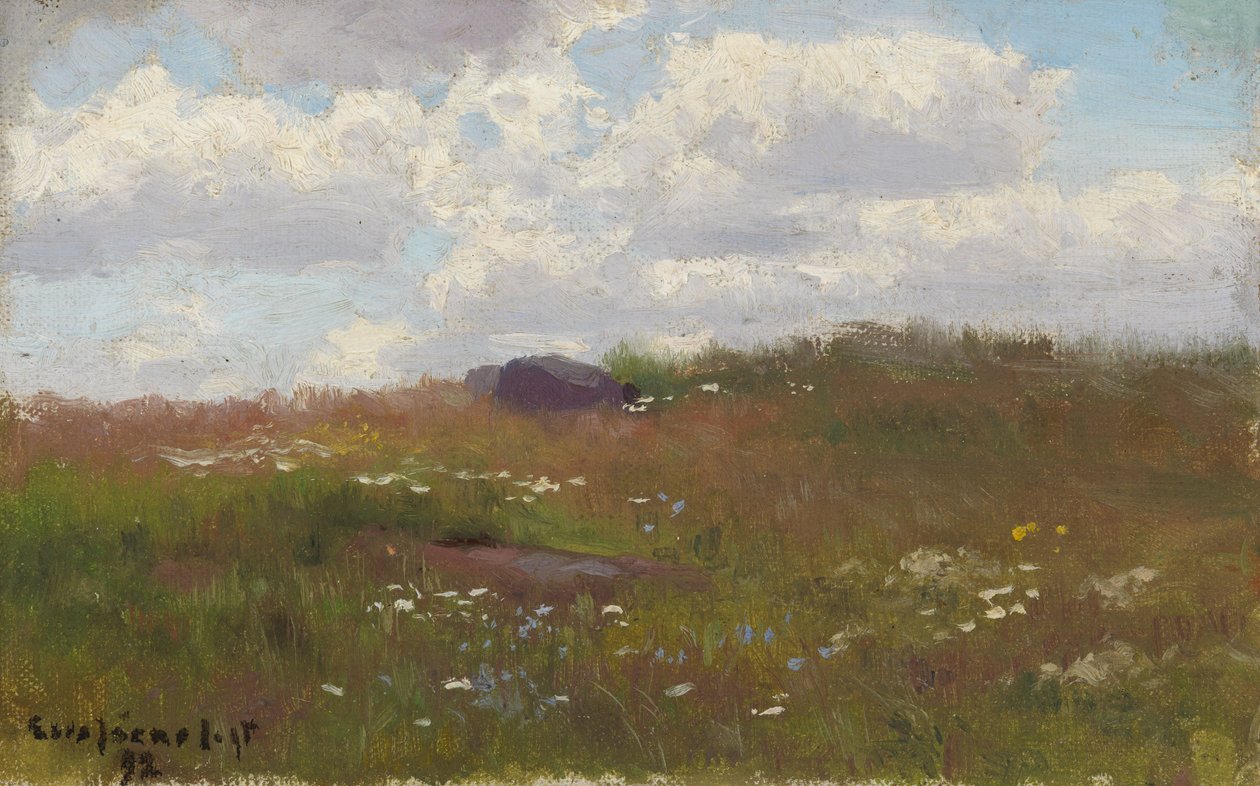Prado com flores de verão de Eero Järnefelt