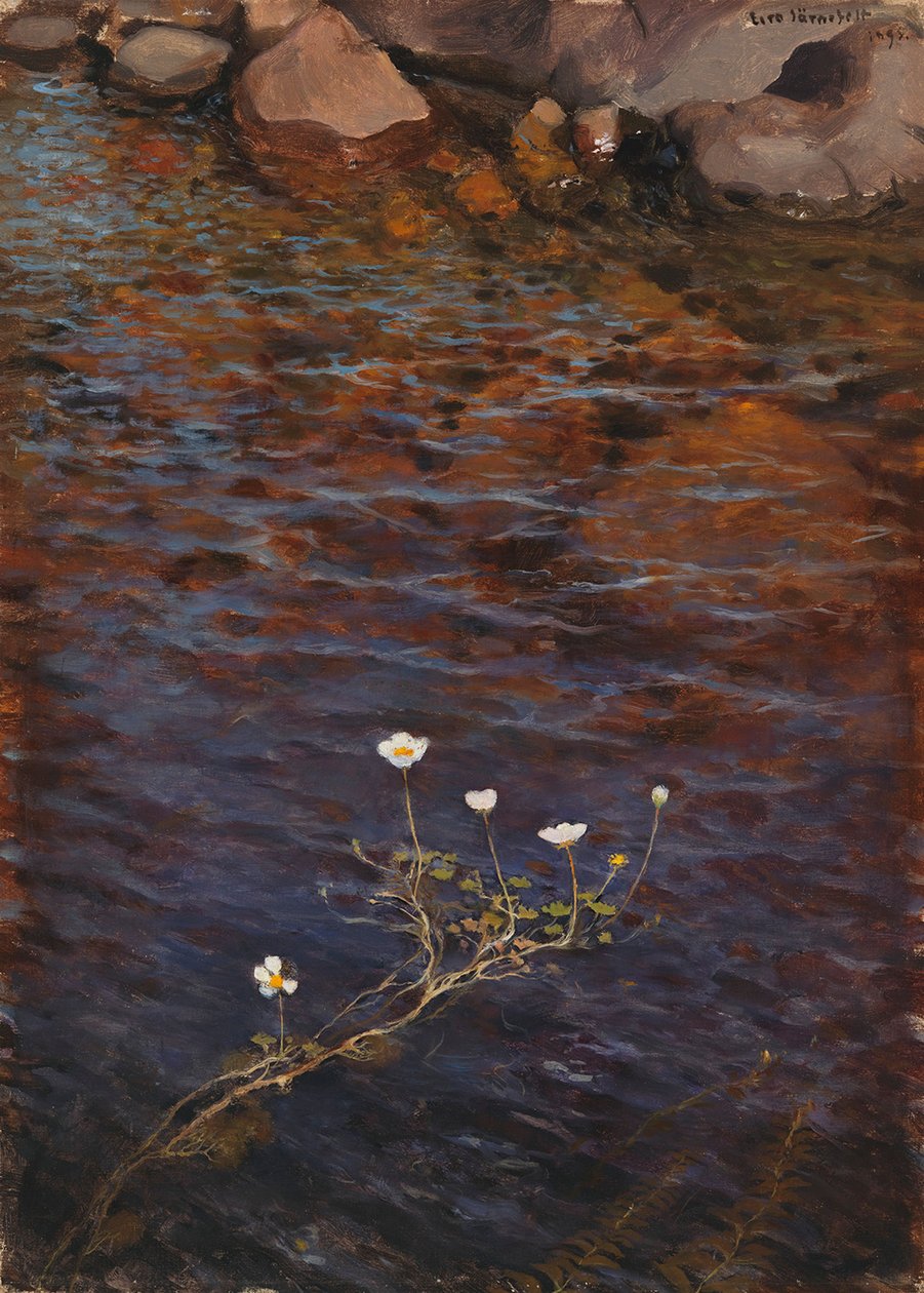 Ranúnculo-aquático de lagoa de Eero Järnefelt