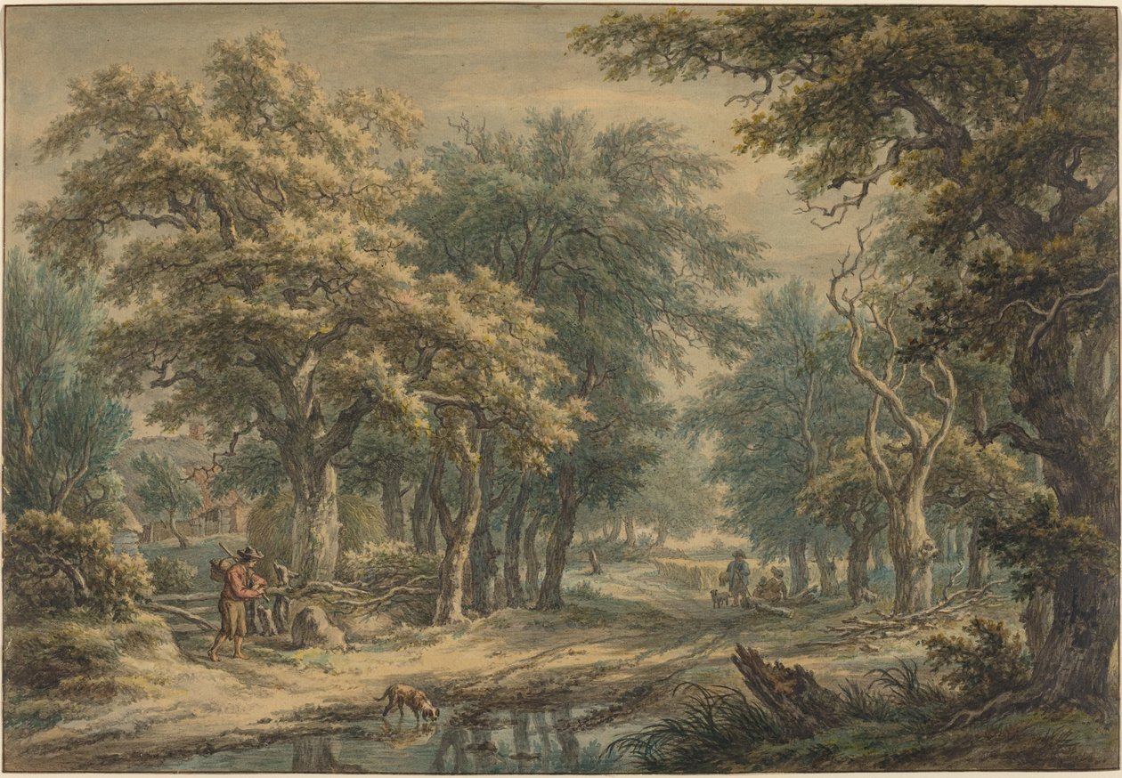 Em Donderen, nos Bosques de Drenthe de Egbert van Drielst