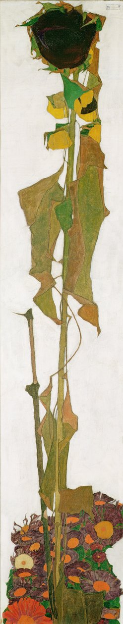 Girassol de Egon Schiele