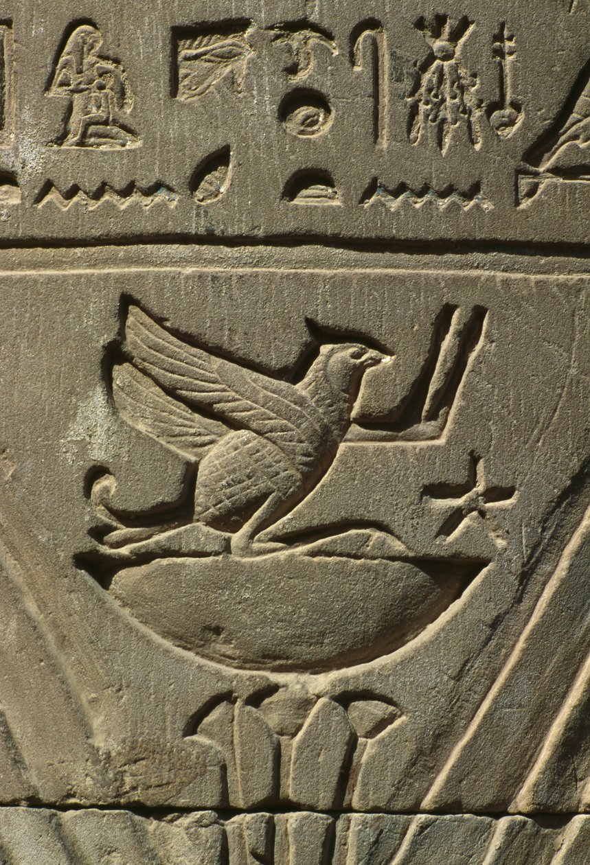 Detalhe, de, um, alívio, hieroglyphs, pedra calcária de Egyptian