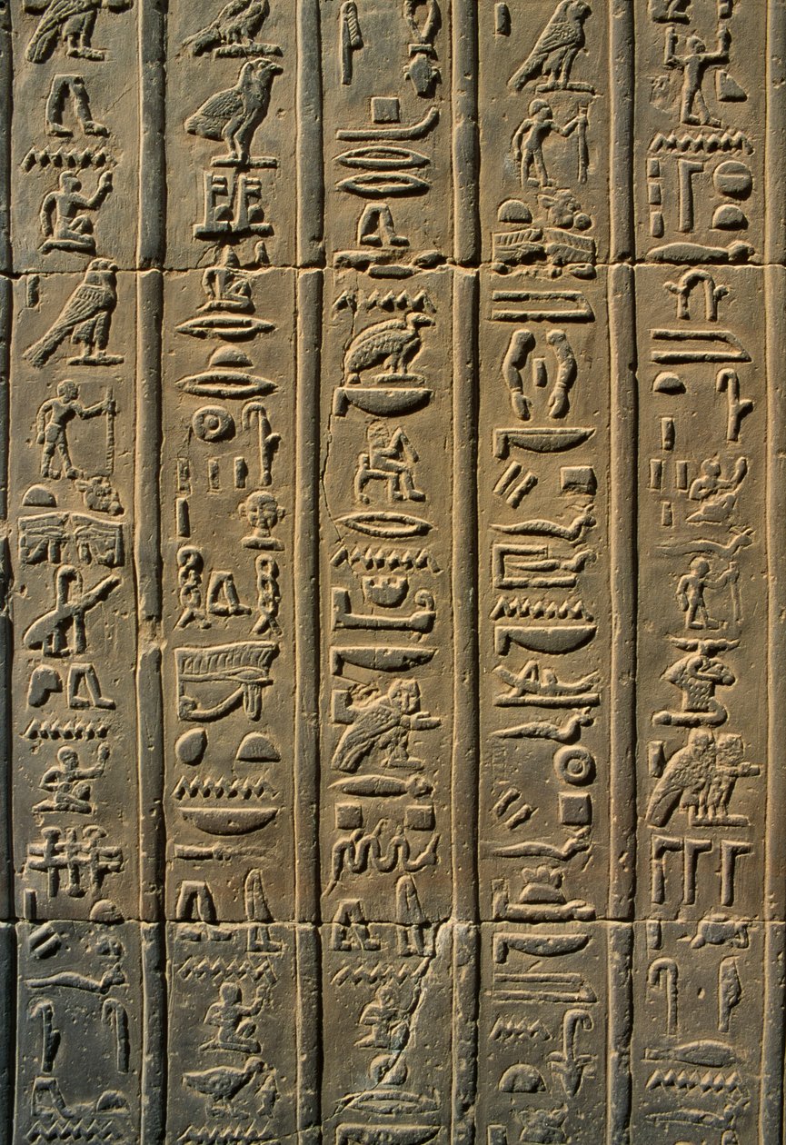 Detalhe, de, um, alívio, hieróglifos, pedra de Egyptian