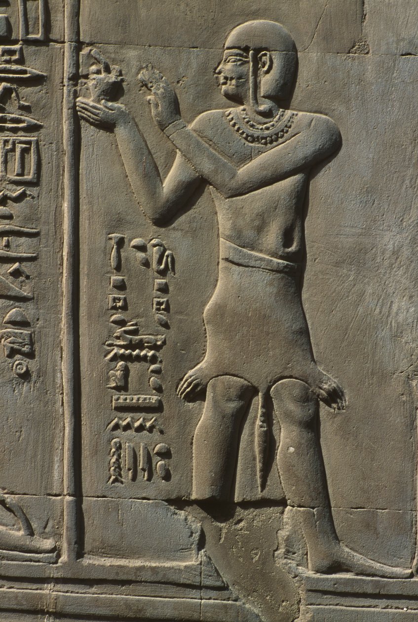 Detalhe, de, um, alívio, pedra de Egyptian