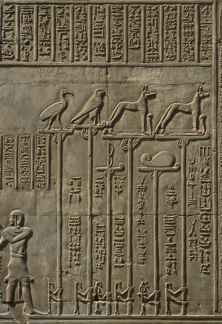 Detalhe, de, um, alívio, pedra de Egyptian