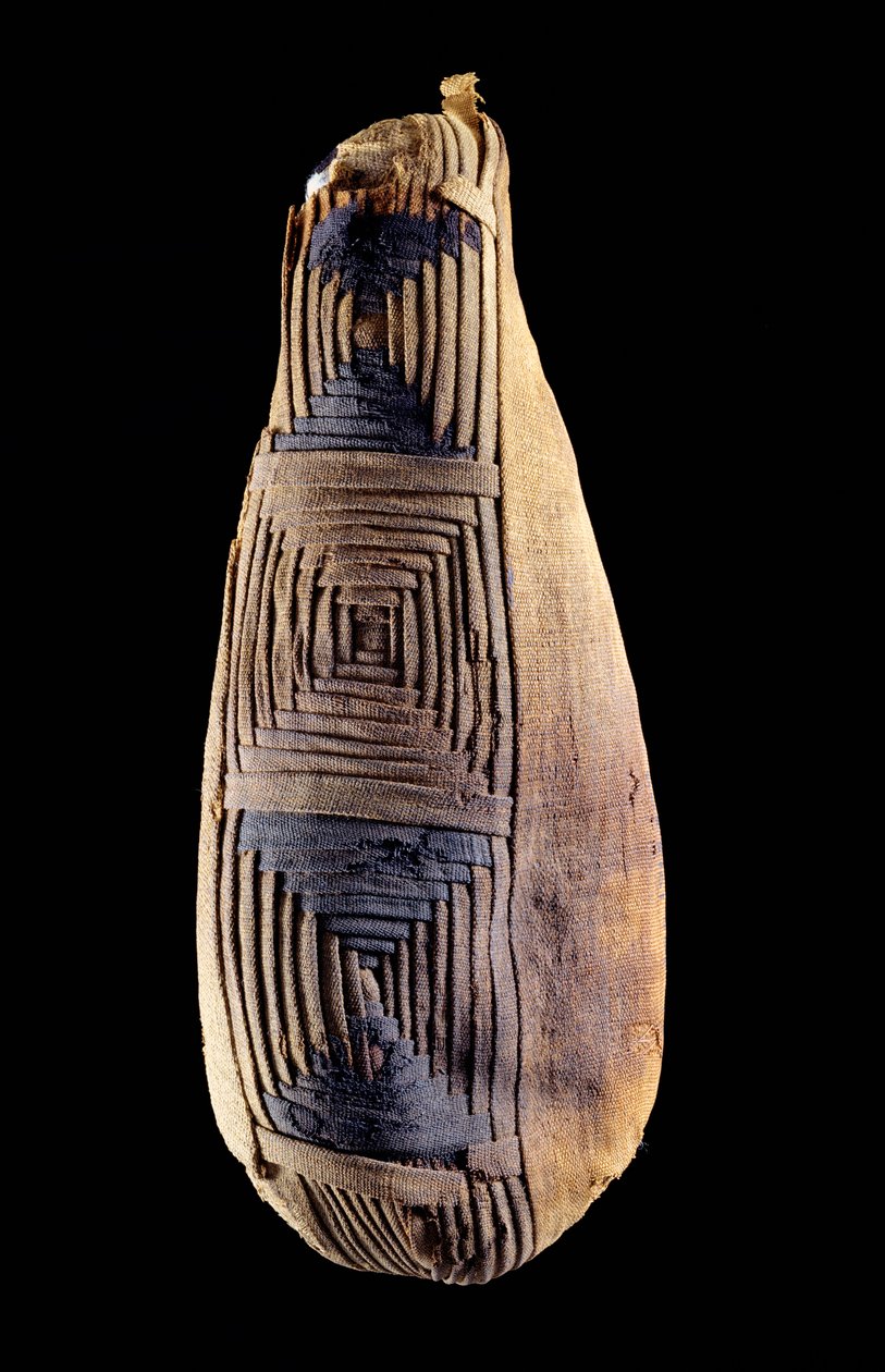Múmia de um íbis, de Abydos, Egito de Egyptian