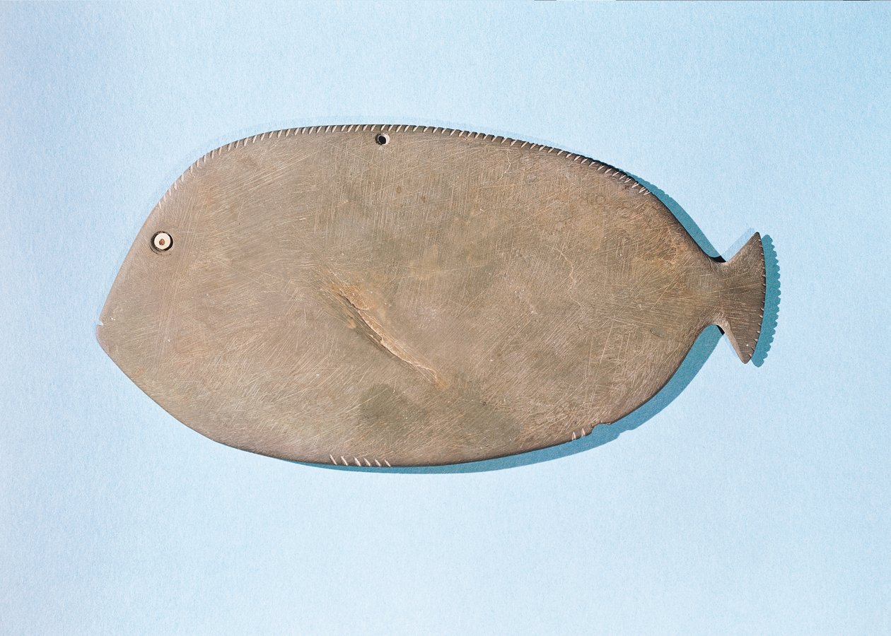 Paleta em forma de peixe, Período Pré-Dinástico (5000-3100 aC) (xisto) de Egyptian