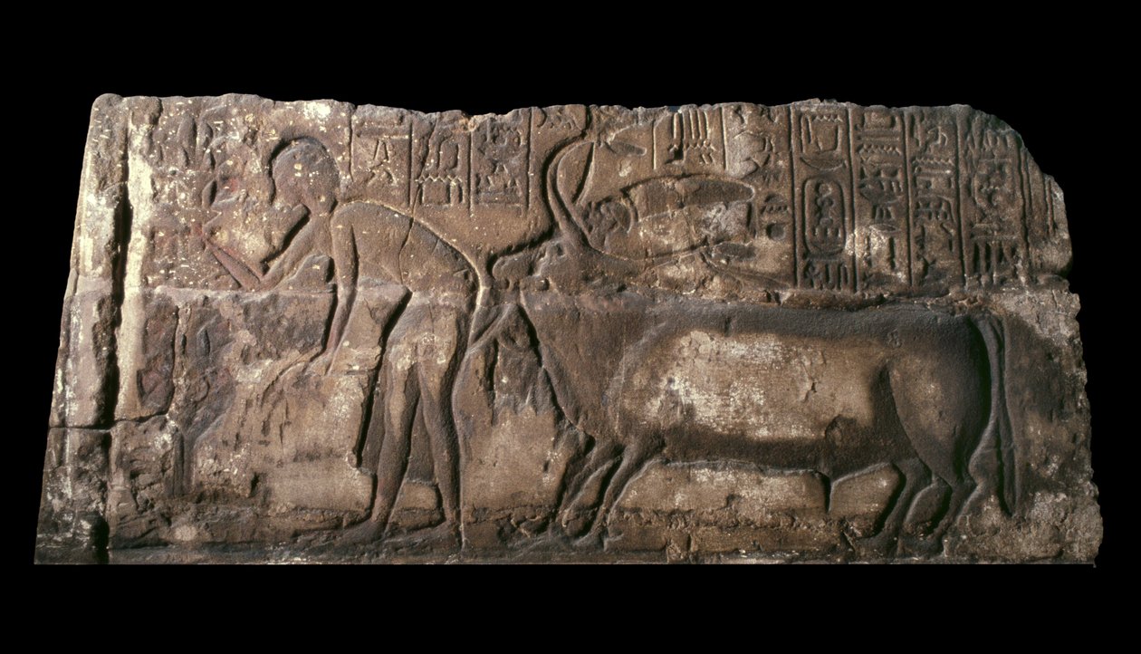 Bloco de arenito representando Satepatenkhay apresentando um touro de sacrifício, 1333-23 aC arenito de Egyptian 18th Dynasty