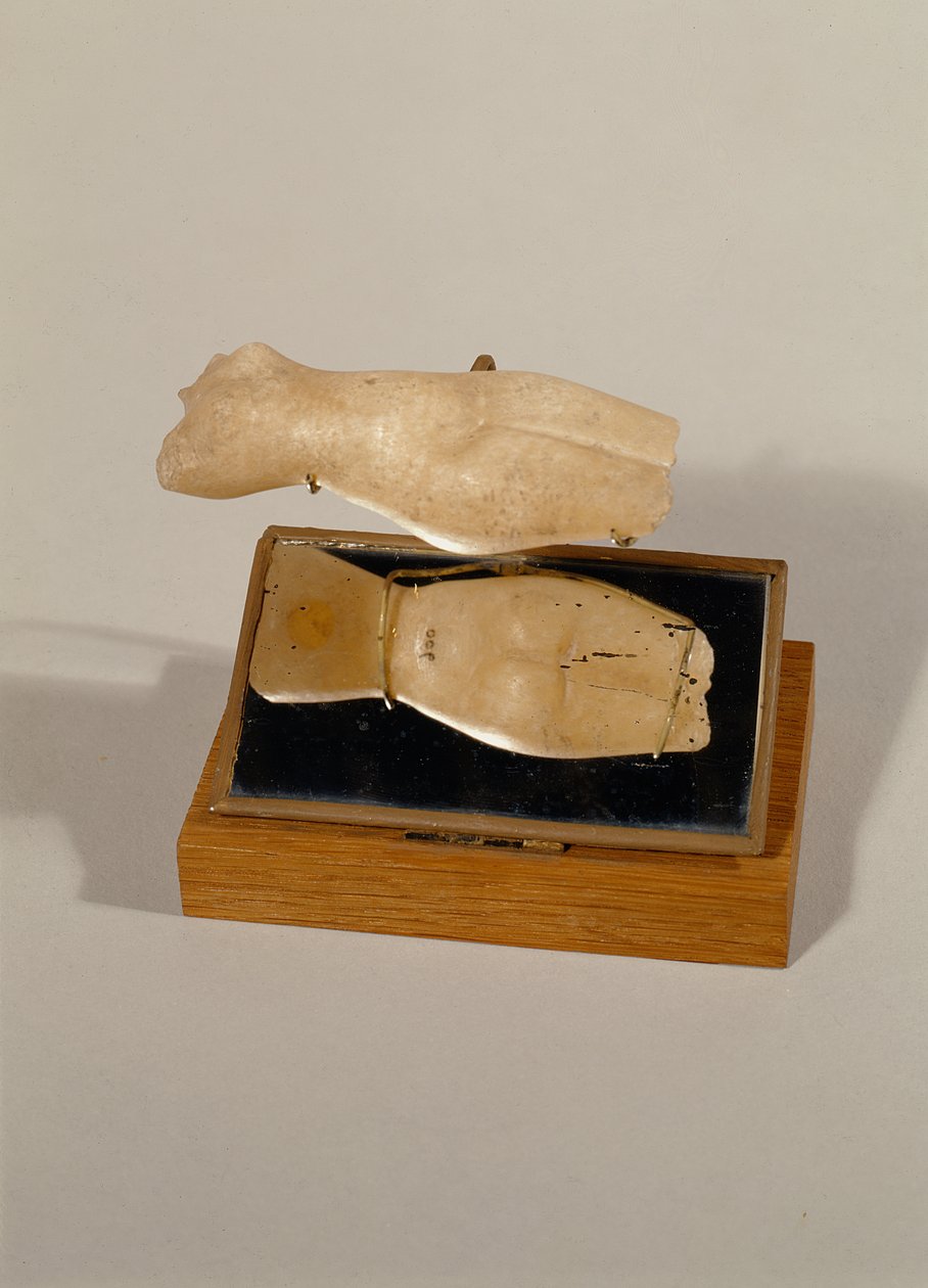 Torso de uma mulher, New Kingdom (alabastro) de Egyptian 18th Dynasty