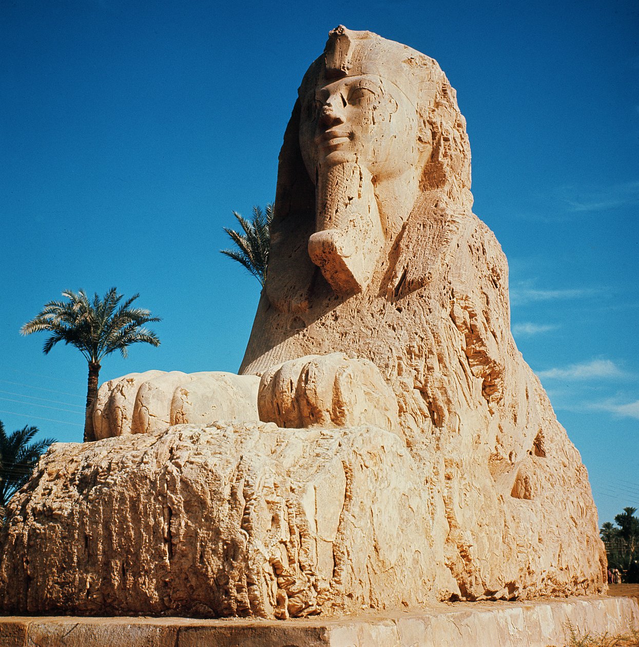 Esfinge de Alabastro, Novo Reino, provavelmente do reino de Amenhotep II, c.1450-1425 aC (veja também 59240) de Egyptian 18th Dynasty