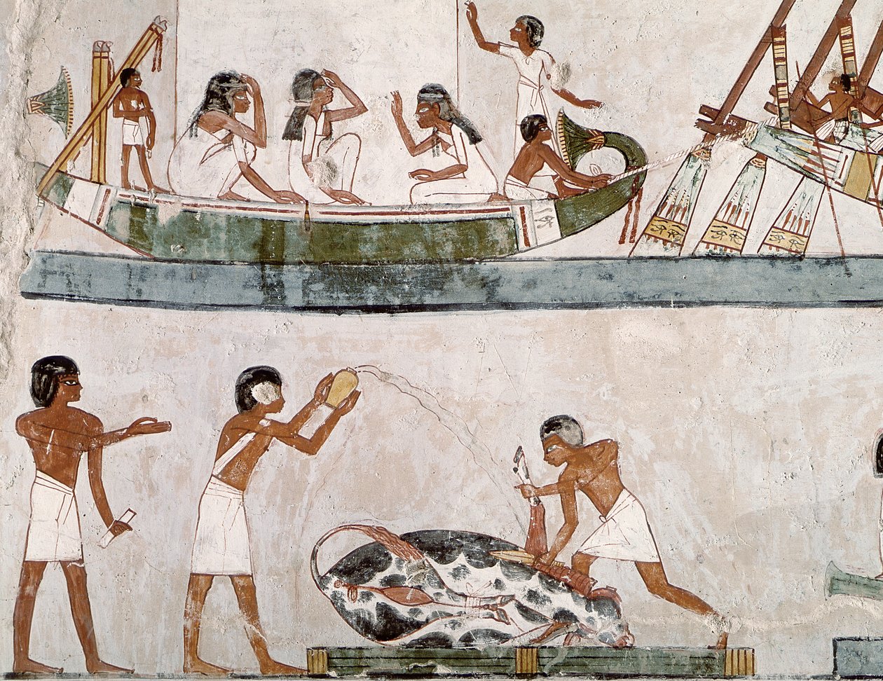 Sacrifício e purificação de um touro e um ritual de vela do Túmulo de Menna, New Kingdom (pintura de parede) de Egyptian 18th Dynasty