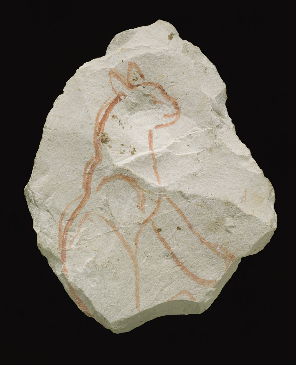 Ostracon representando um gato sentado, New Kingdom (floco de calcário) de Egyptian 19th Dynasty
