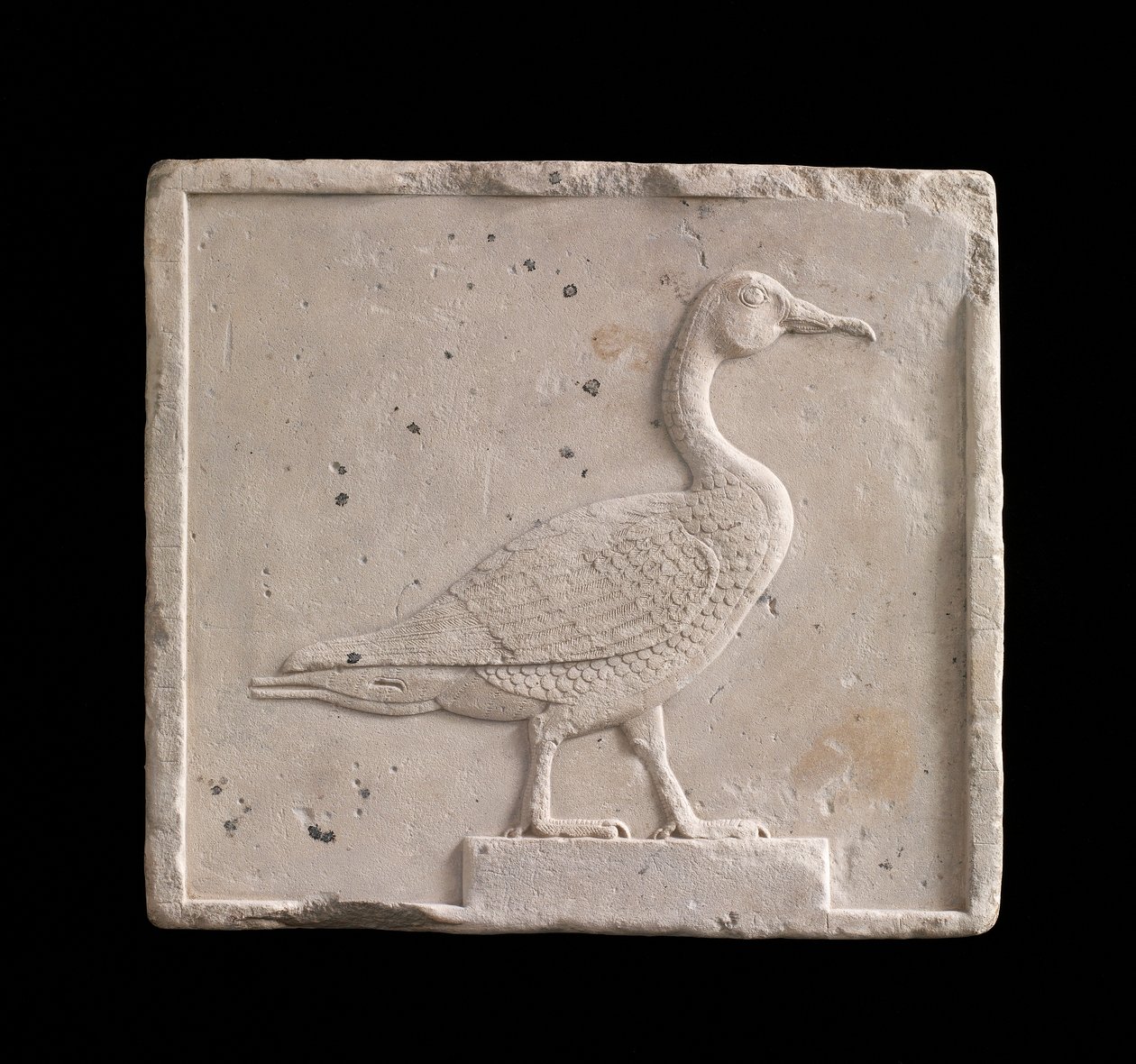 Placa representando um ganso, 26ª dinastia ou período Saite, 664-525 aC ou mais tarde calcário de Egyptian 26th Dynasty