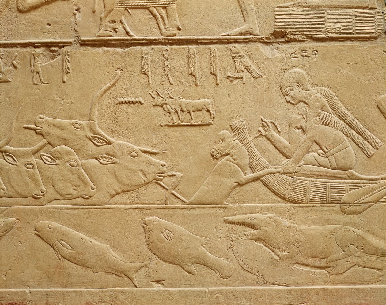 Gado atravessando um vau, da pedra Mastaba de Kagemni de Egyptian 6th Dynasty